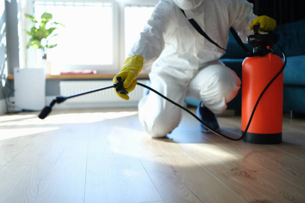 Best Local Pest Control Services  in Ladonia, AL